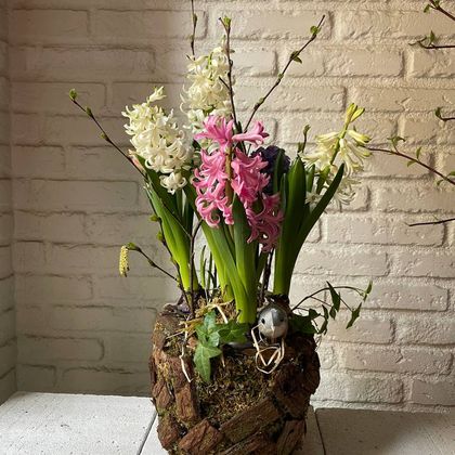 Кашпо  лесное с гиацинтами