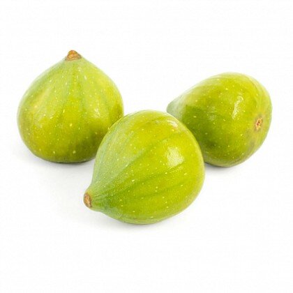 Инжир белый