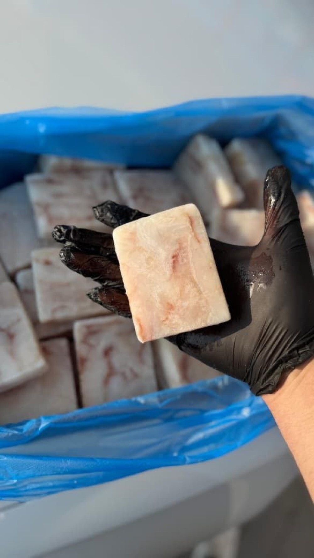 Кубики тресковых пород