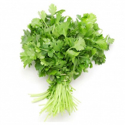 Кинза свежая
