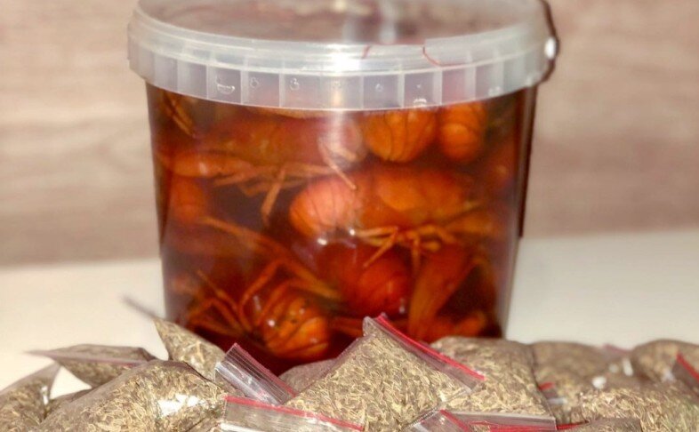 Семена укропа