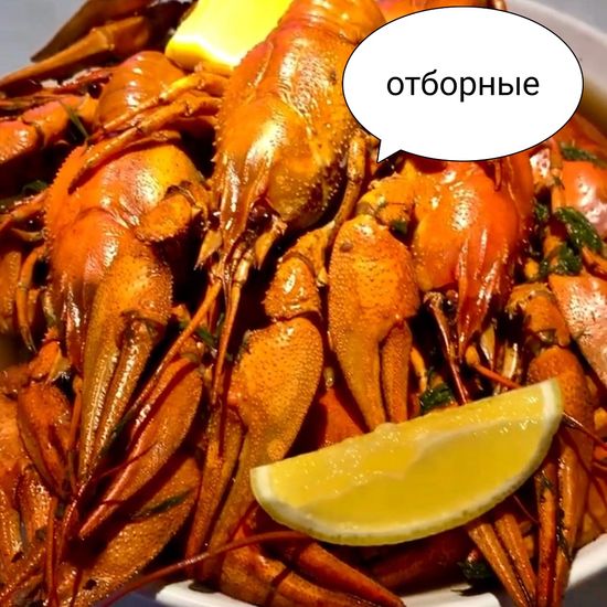 Раки варёные «Отборные»