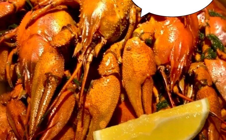 Раки варёные «Отборные»