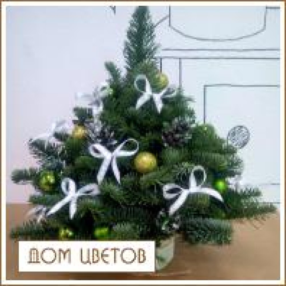 Новогодняя композиция «Ёлочка 2» № 4