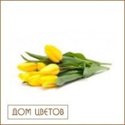 Букет из 7 тюльпанов (цвет на выбор) art 616