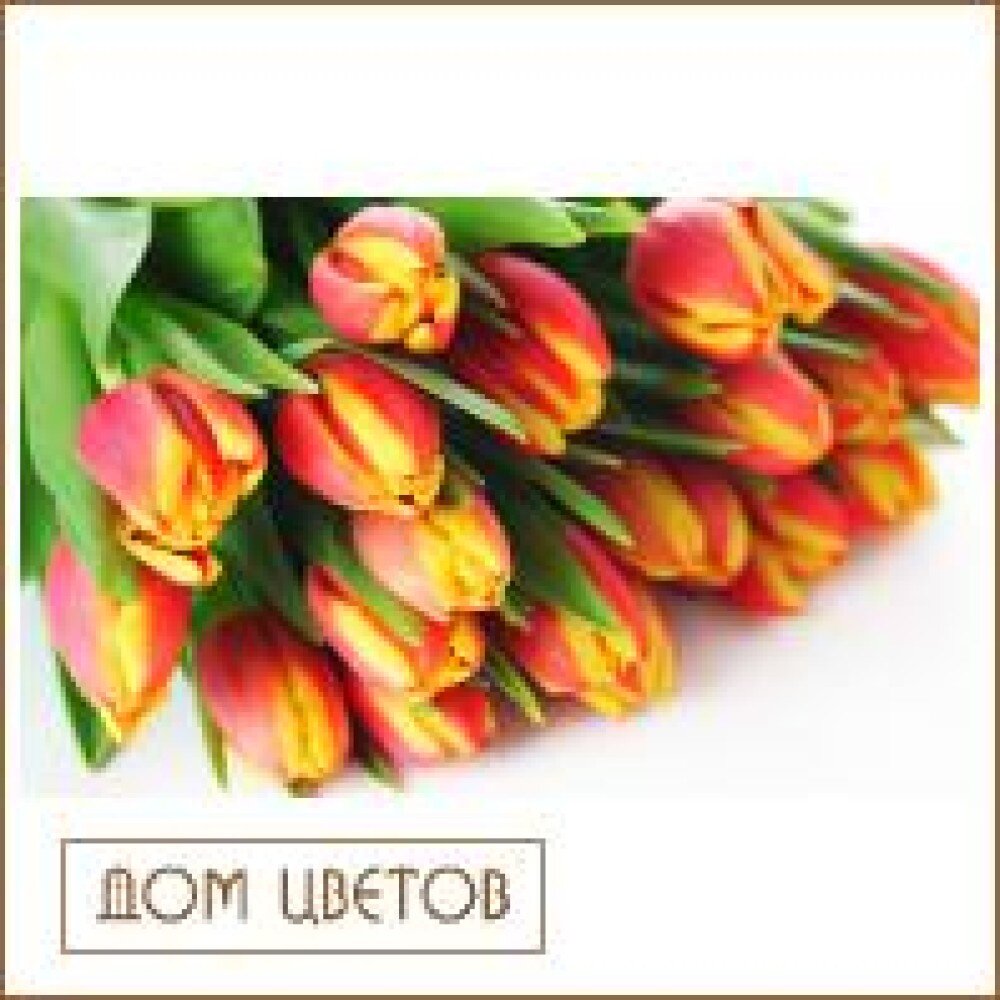 Букет из 19 тюльпанов (цвет на выбор) art 617