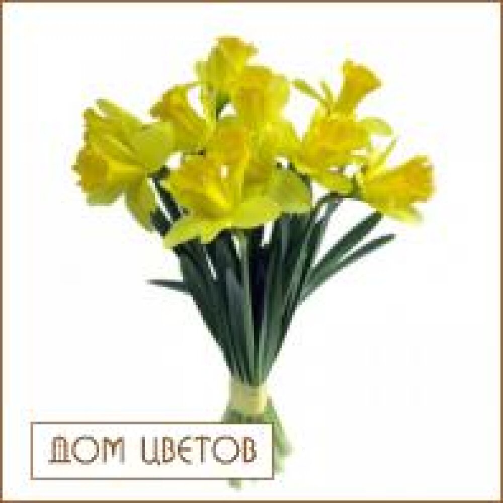 Букет «11 нарциссов» art 444