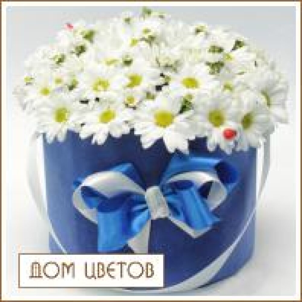 Букет в шляпной коробке «Ромашки» art 568