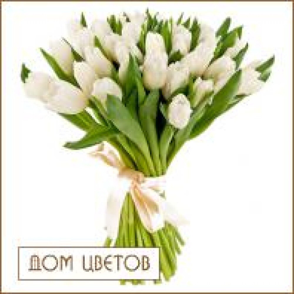 Букет «25 тюльпанов» art 441