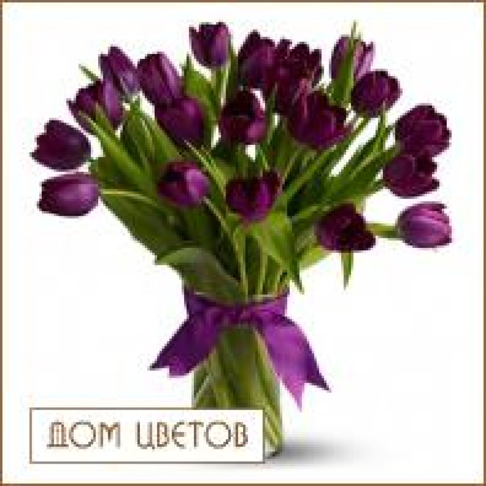Букет «27 тюльпанов» art 436