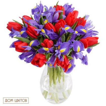 Букет «Фурор» art 365