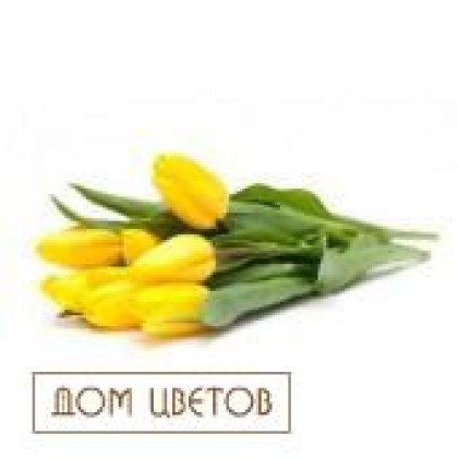Букет из 7 тюльпанов (цвет указывайте в комментариях) art 616