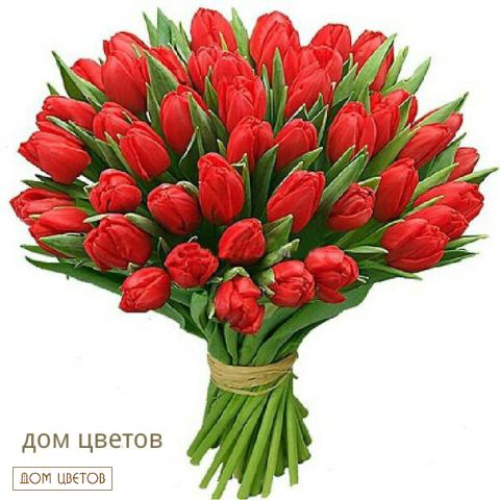 Букет «45 красных тюльпанов» art 109
