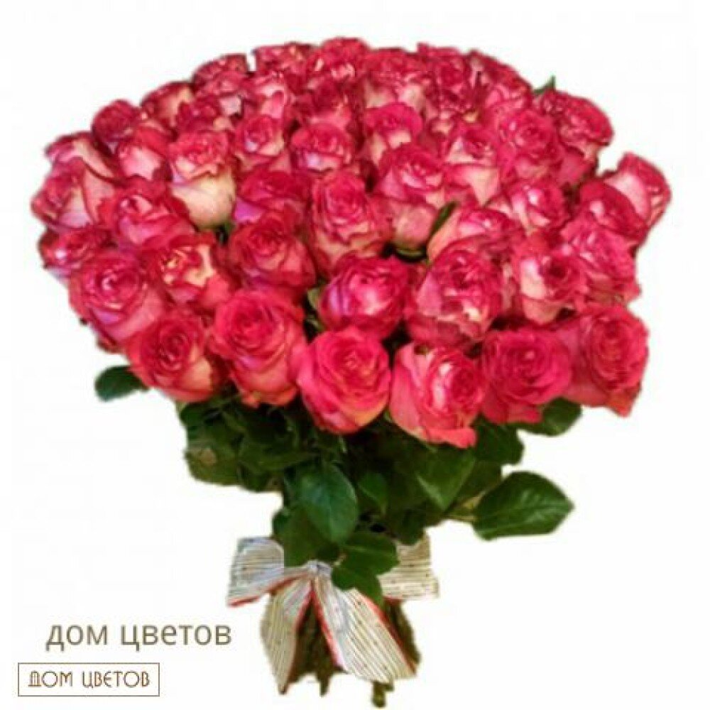 Букет «51 роза Игуазу» art 96