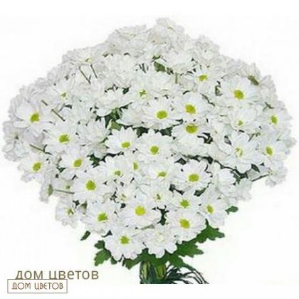 Букет «Ромашки» art 94