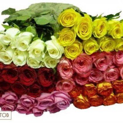 Роза микс Поштучно 42см.  Цвет на момент оформление заказа.