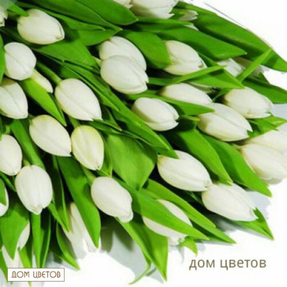 Букет «35 Тюльпанов» (Цвет на Выбор) art 112