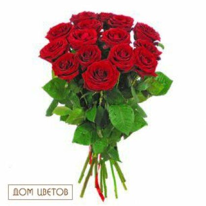 Букет из 15 красных роз art 28.  Цвет на момент оформление заказа
