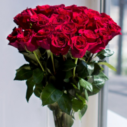 Роза красная Поштучно (Эквадор) 55см  art 591