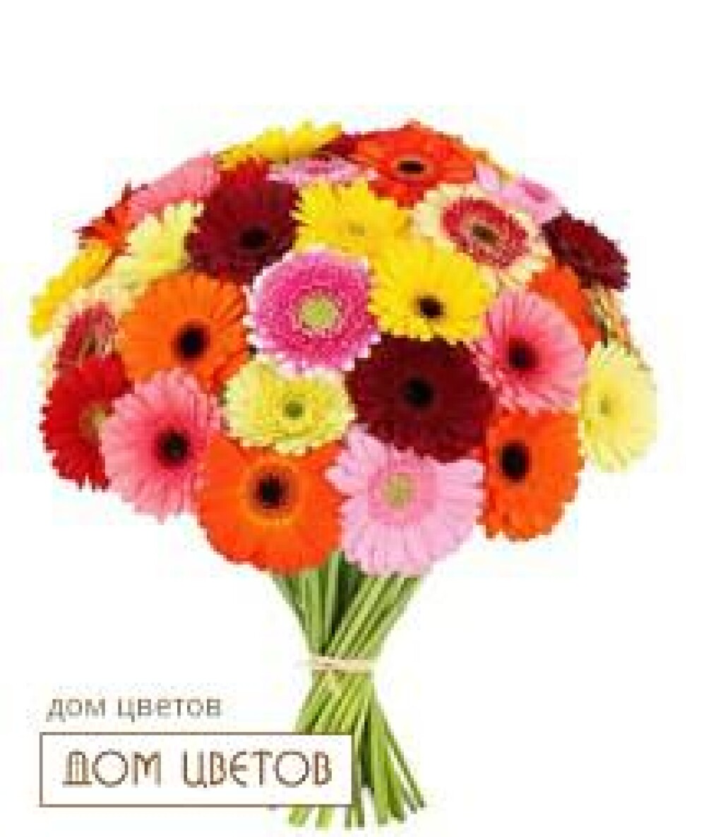 Букет «25 Разноцветных Гербер» art 129