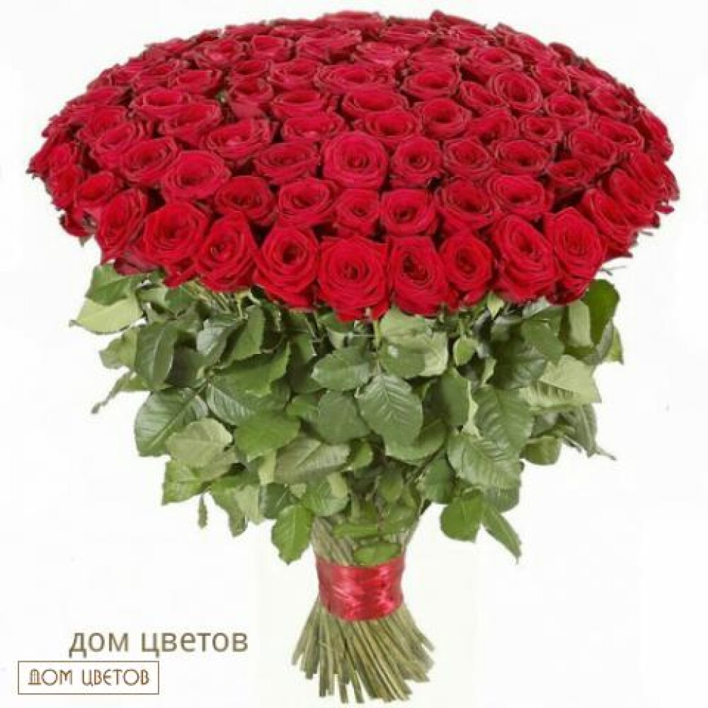 Букет «101 Красная Роза» art 104