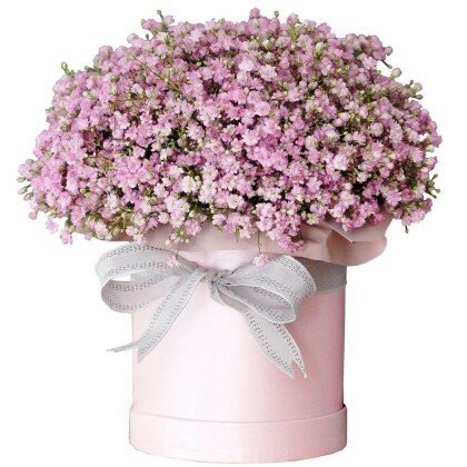 Композиция с гипсофилой "Дивный сад"