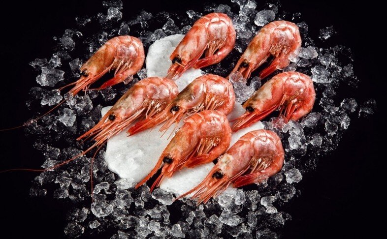 Креветка Северная 70/90
Мясо креветки Северной - признано кладезем полезного белка, который не только поддерживает в тонусе мышцы тела, но и необходим для формирования коллагена, сохраняющего упругую молодую кожу.