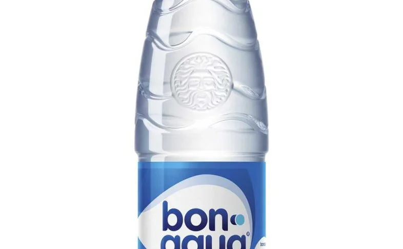 Вода 0,5