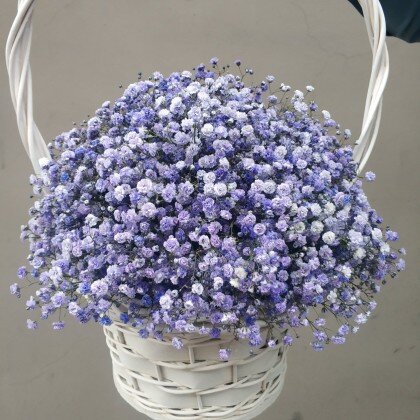 Композиция с гипсофилой "Лавандовые сны"