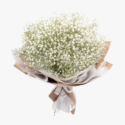 Букет с гипсофилой "Белый стих"