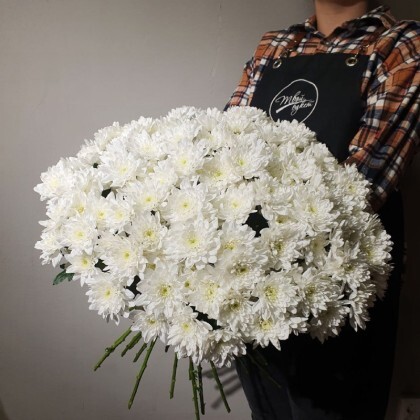 Хризантема кустовая белая от 21шт