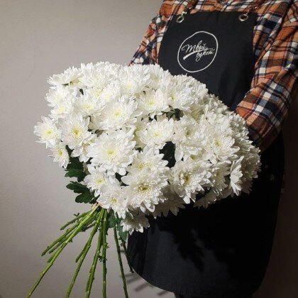 Хризантема кустовая белая 
от 11шт