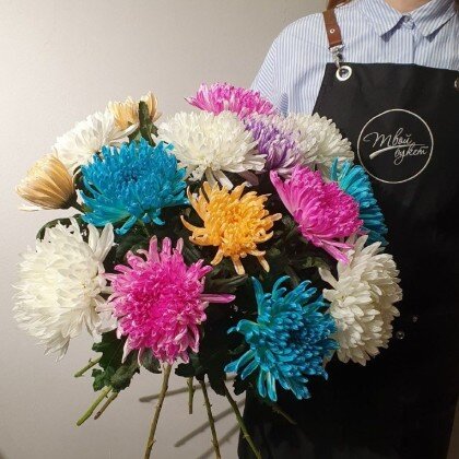 Хризантема одноголовая цветная 5шт