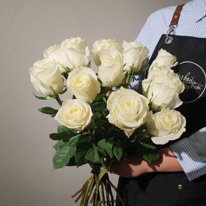 Роза белая (60-70см) 11шт
