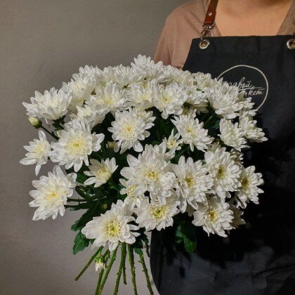 Хризантема кустовая белая от 15шт