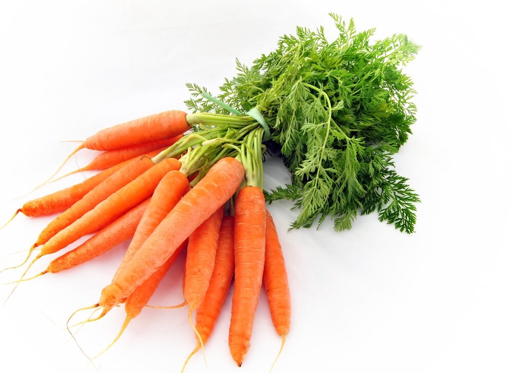 Морковь молодая с ботвой 1 пучок 300гр