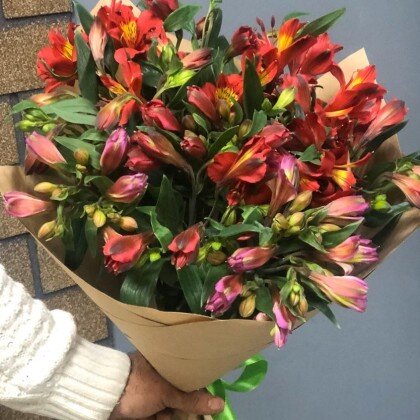 Букет альстромерий микс 17