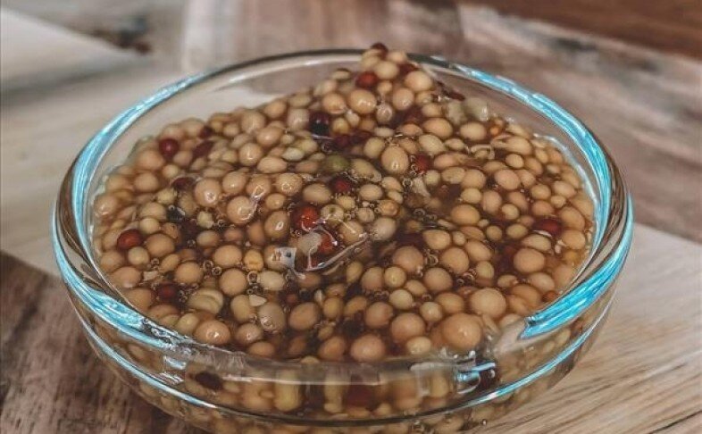 Горчица зернистая