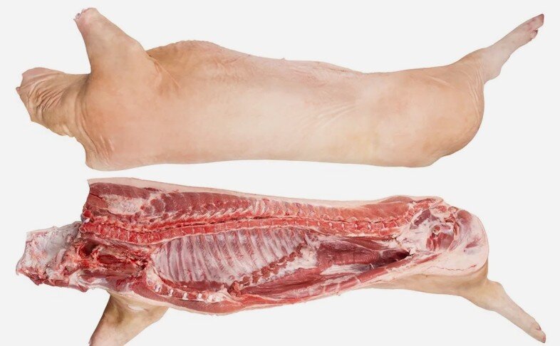 ПОЛУТУША ПОРОСЕНКА