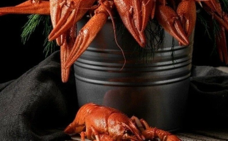 Раки Волжские, дикие (Вареные в рассоле)