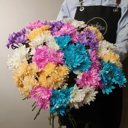 Хризантема кустовая цветная 21шт