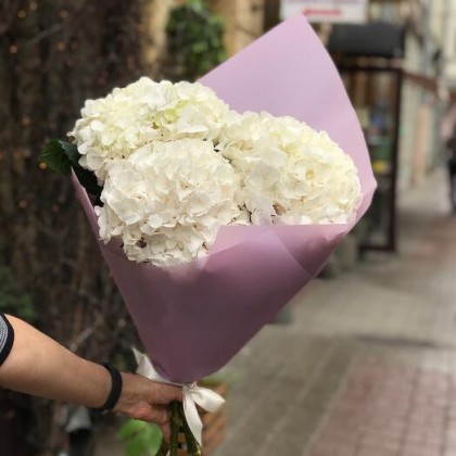 Букет из белых гортензий