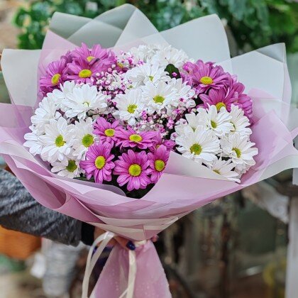 Букет "7 Хризантем"  Цвет на момент оформление заказа.