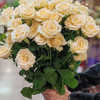 Роза кустовая "Салинеро"