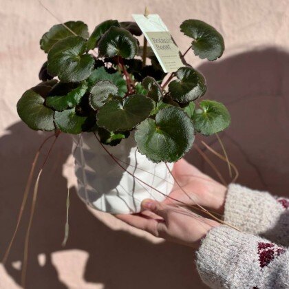 Каменоломка