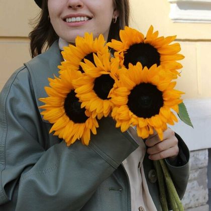 Солнечные подсолнухи