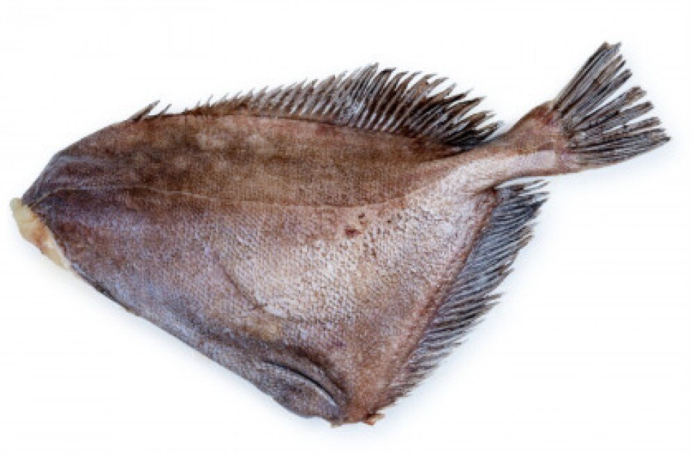 Дори свежемороженая, кг