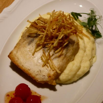 Стейк из судака с кремом из картофеля