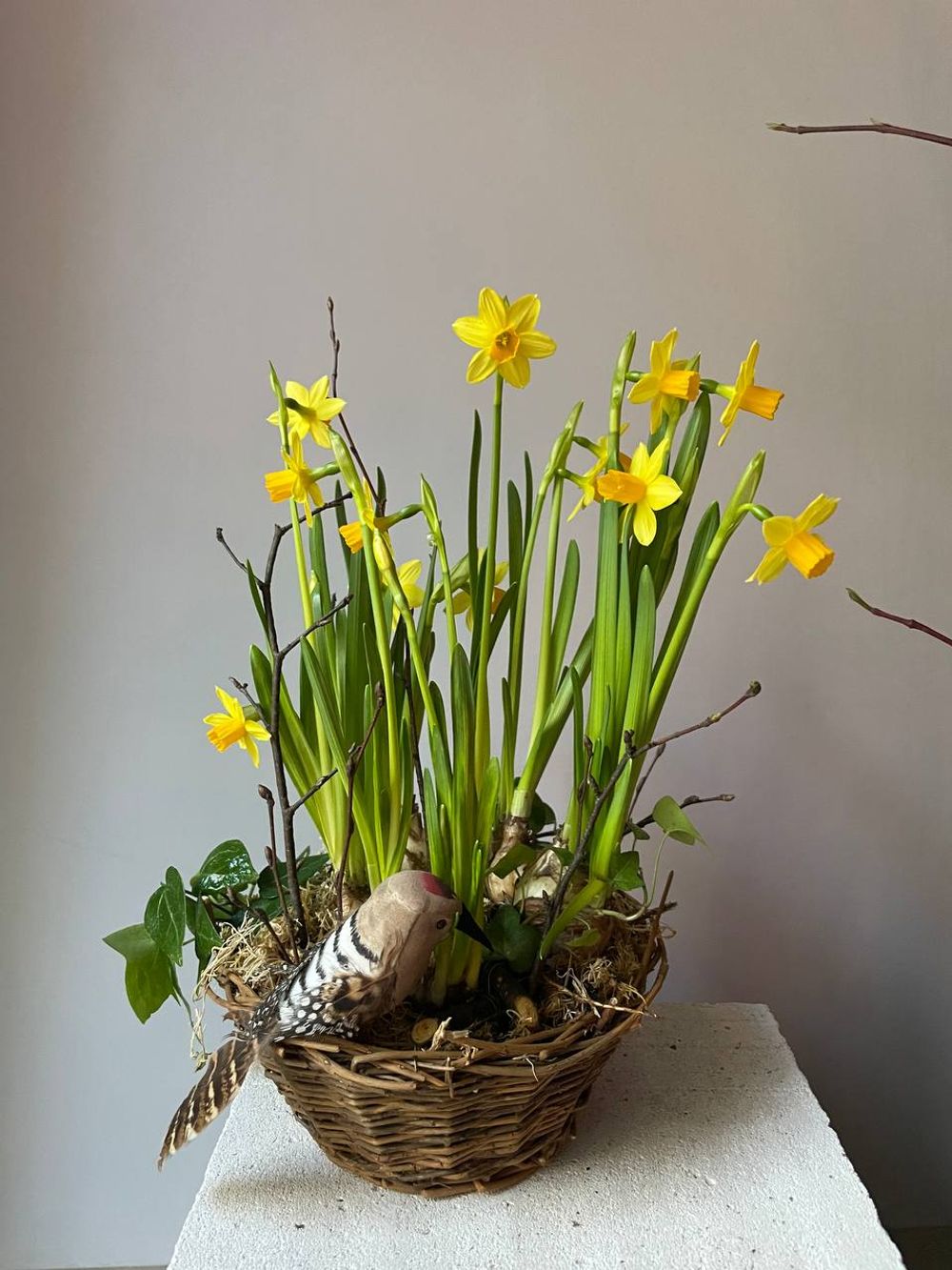 Композиция с нарциссами