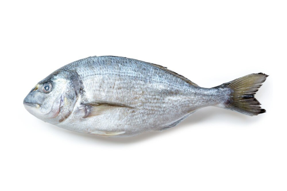 Дорада свежемороженая, кг